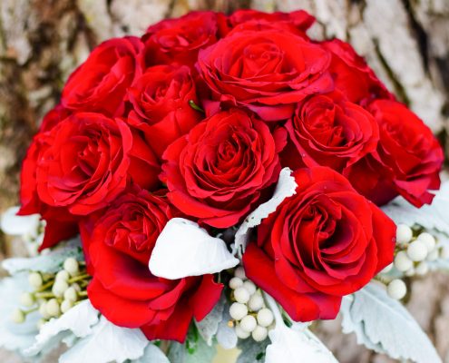 bridal bouguet of red roses