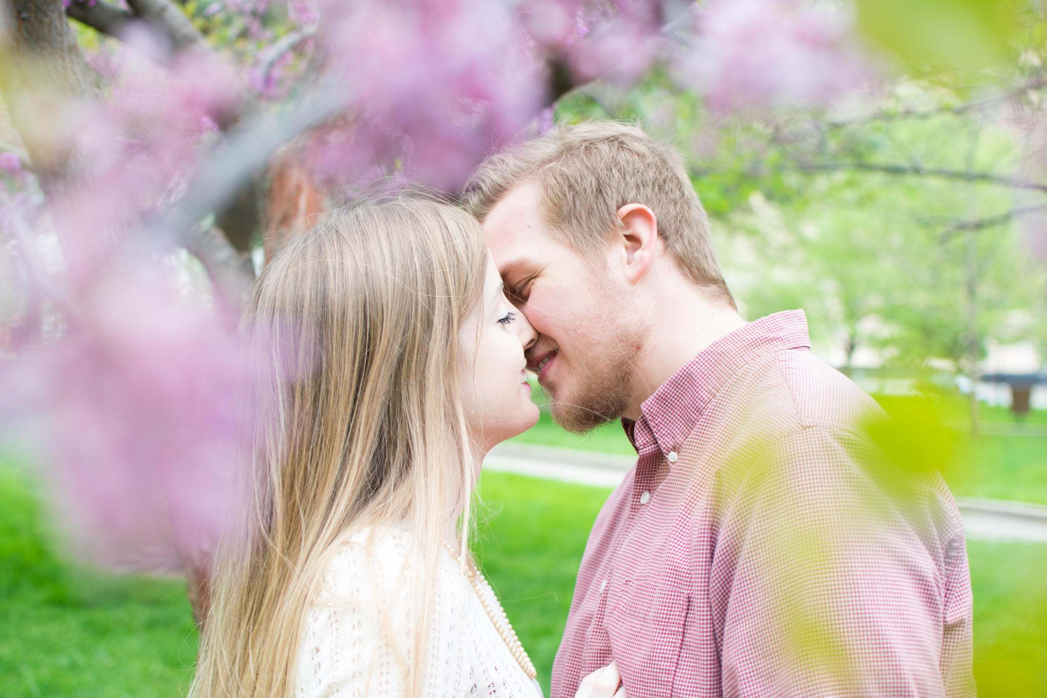 couple kisses during engagement session under blooming tree