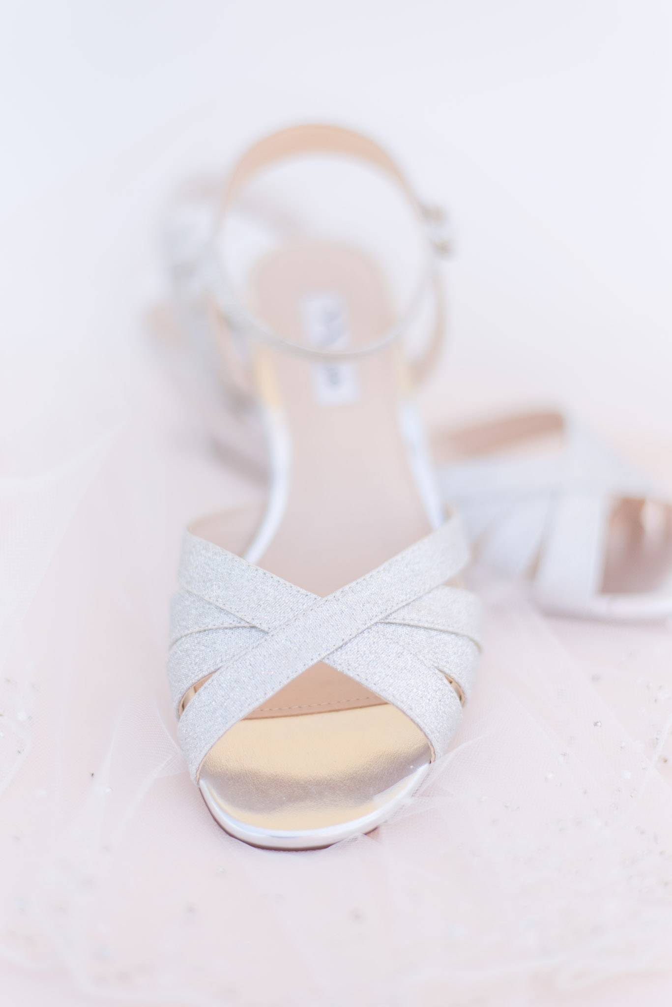Brownsburg Sparkly Silver Bridal Shoes