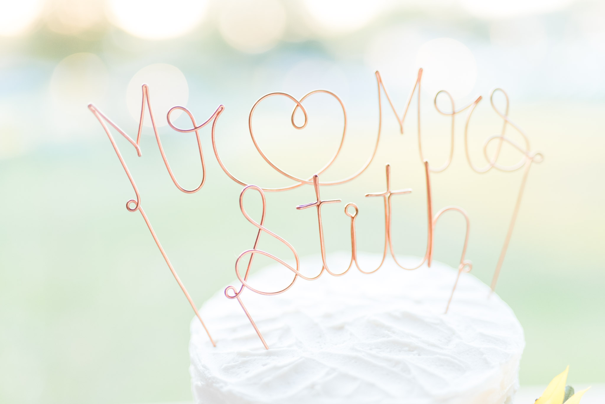 Mr. and Mrs. Cake Topper