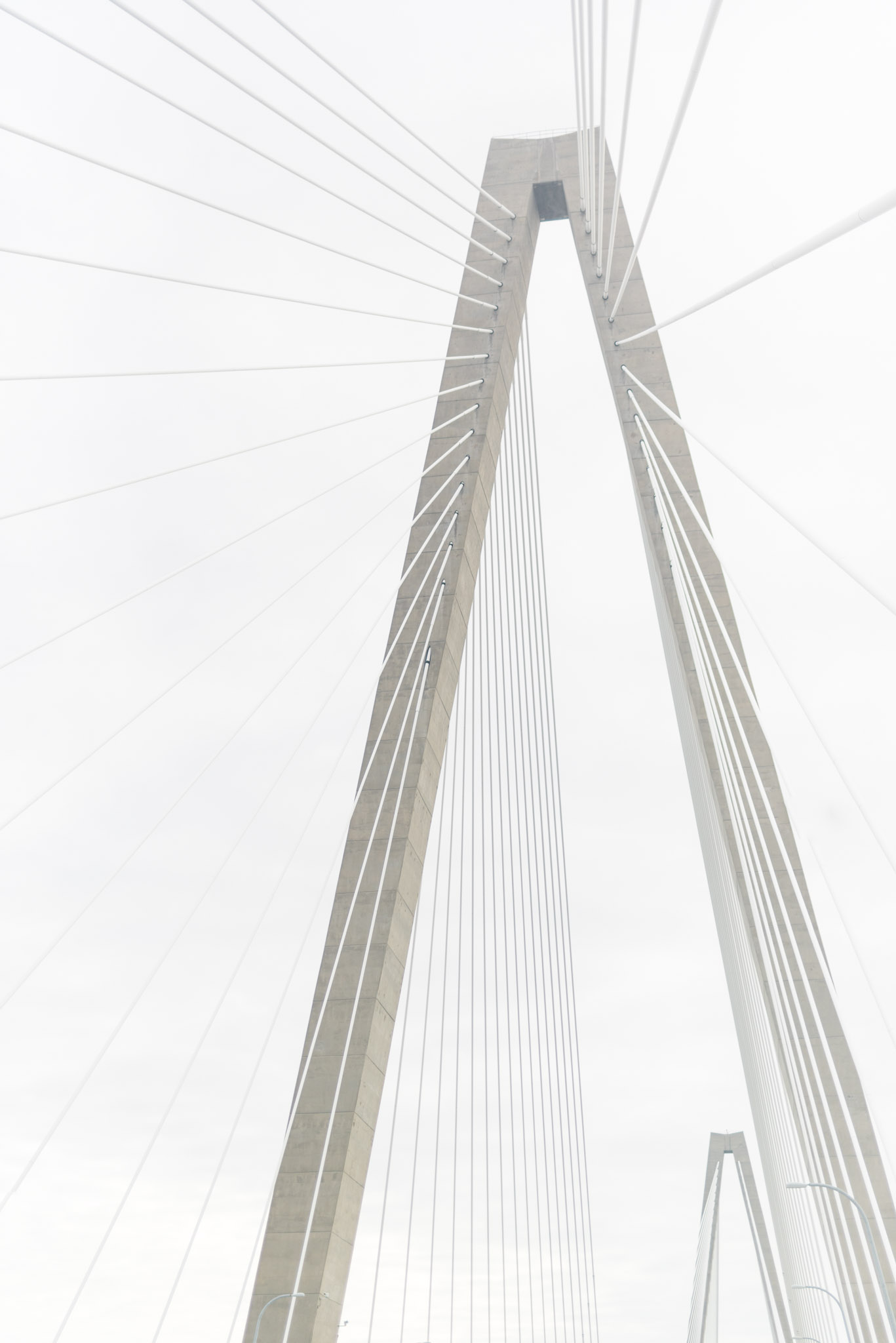 Charleston cable bridge