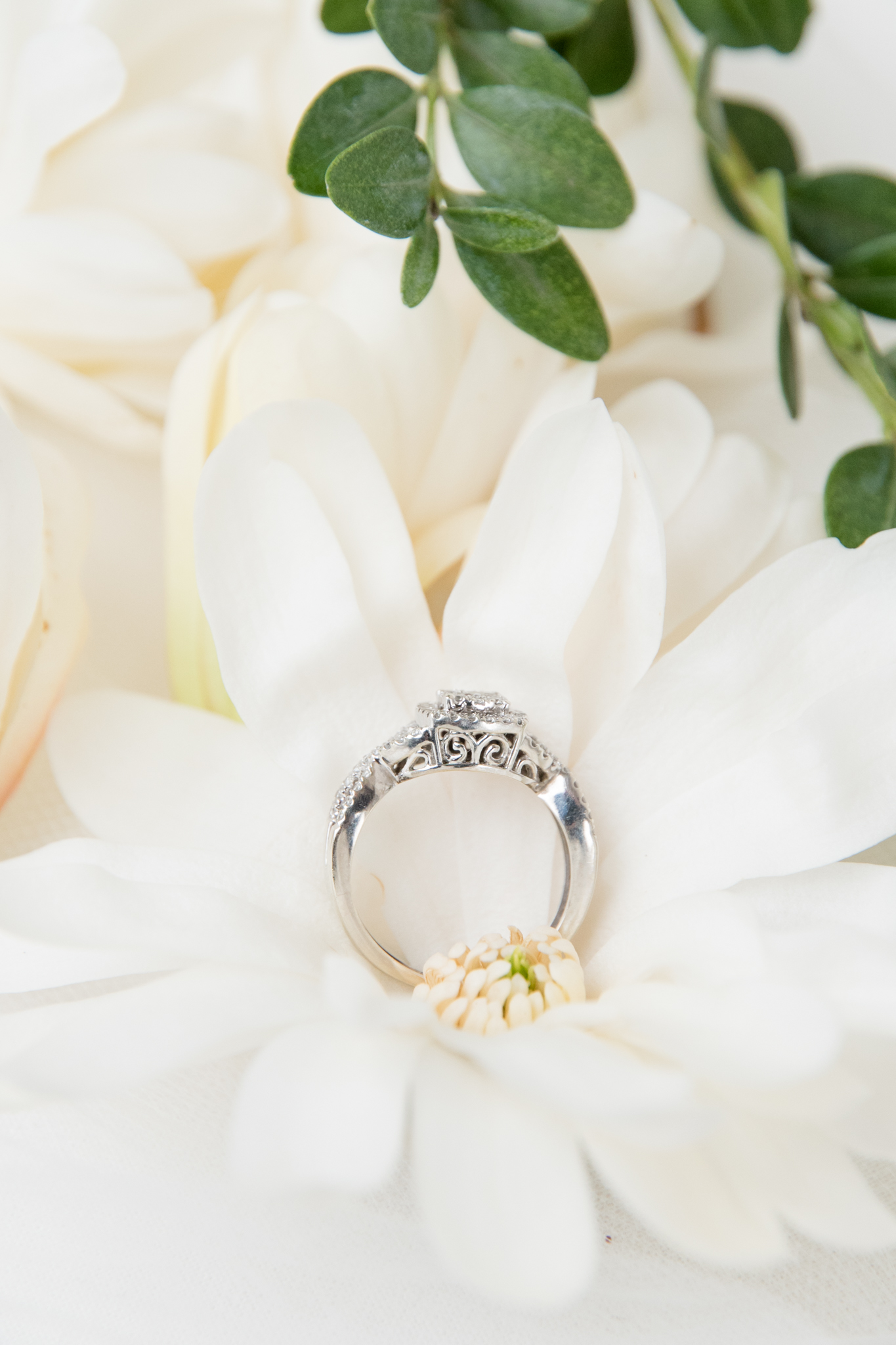 Engagement ring sits in flower