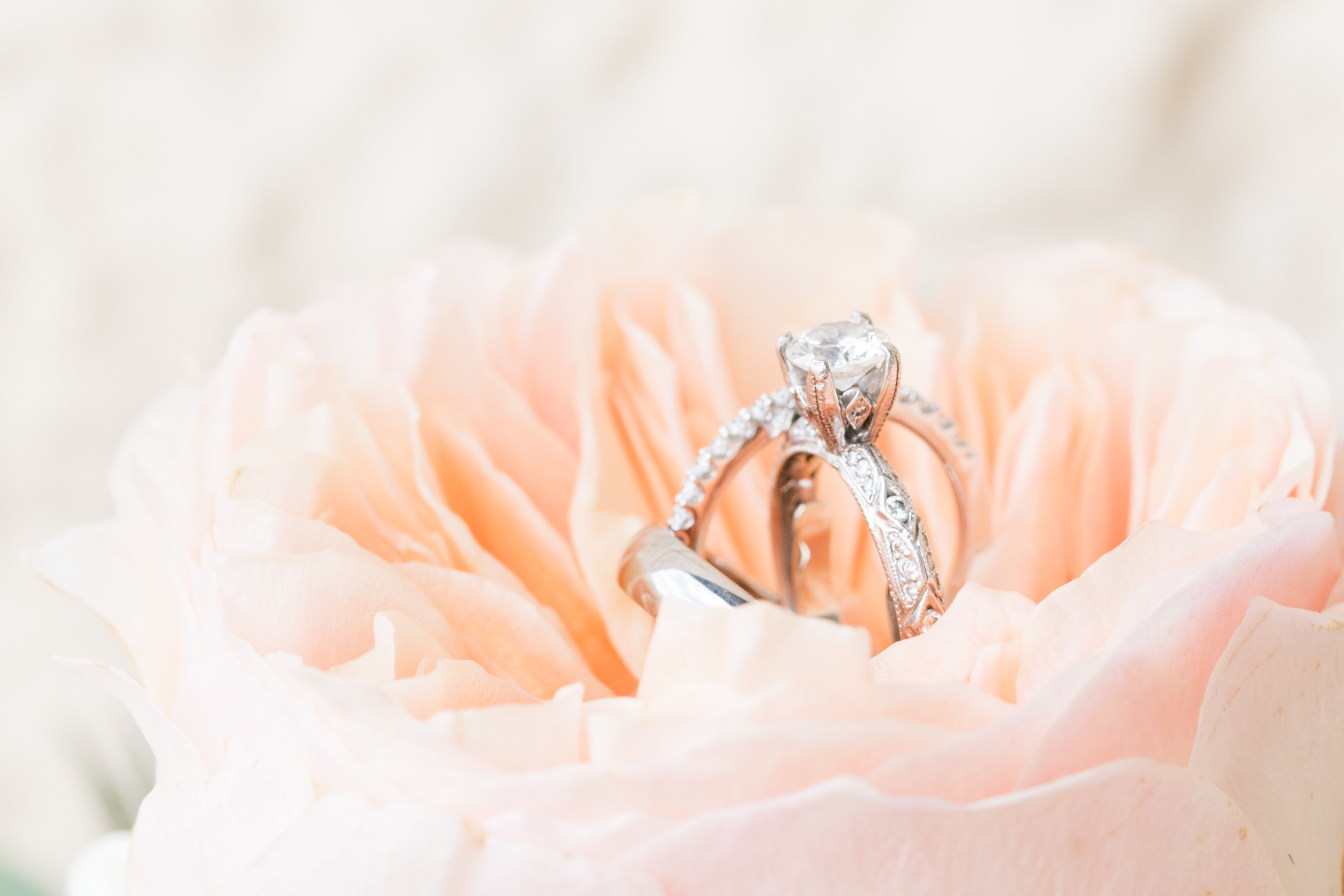 Engagement ring sits in peony flower.