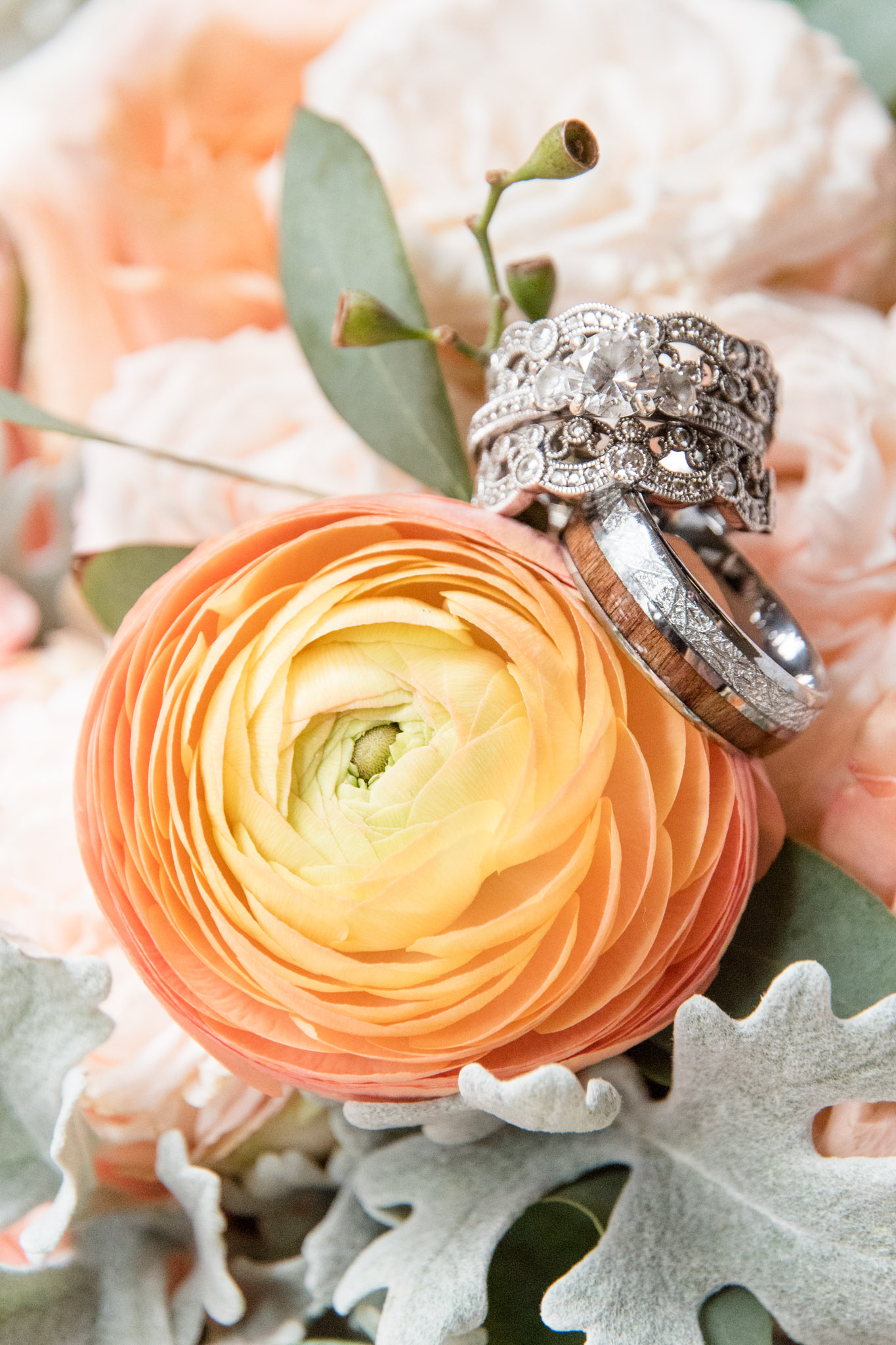 Wedding rings sit on ranunculus.