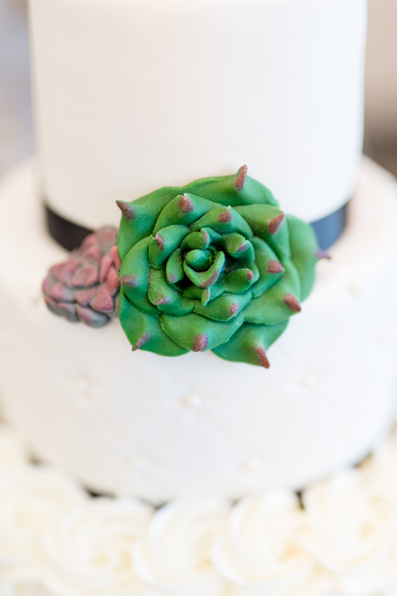 Succulent cake art