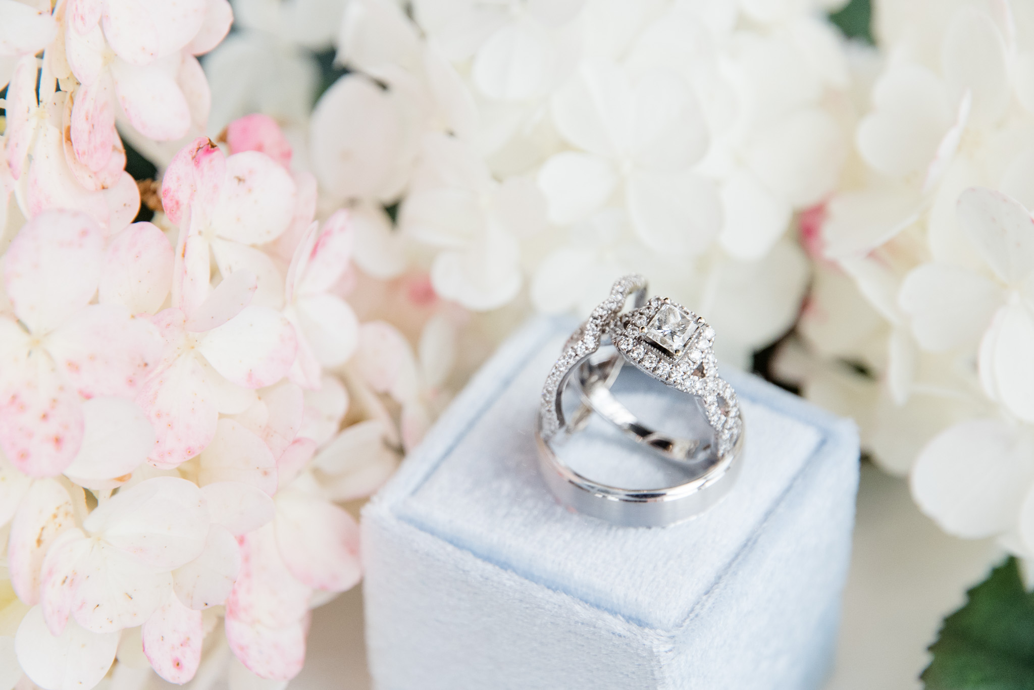 Wedding rings balance next to flowers.