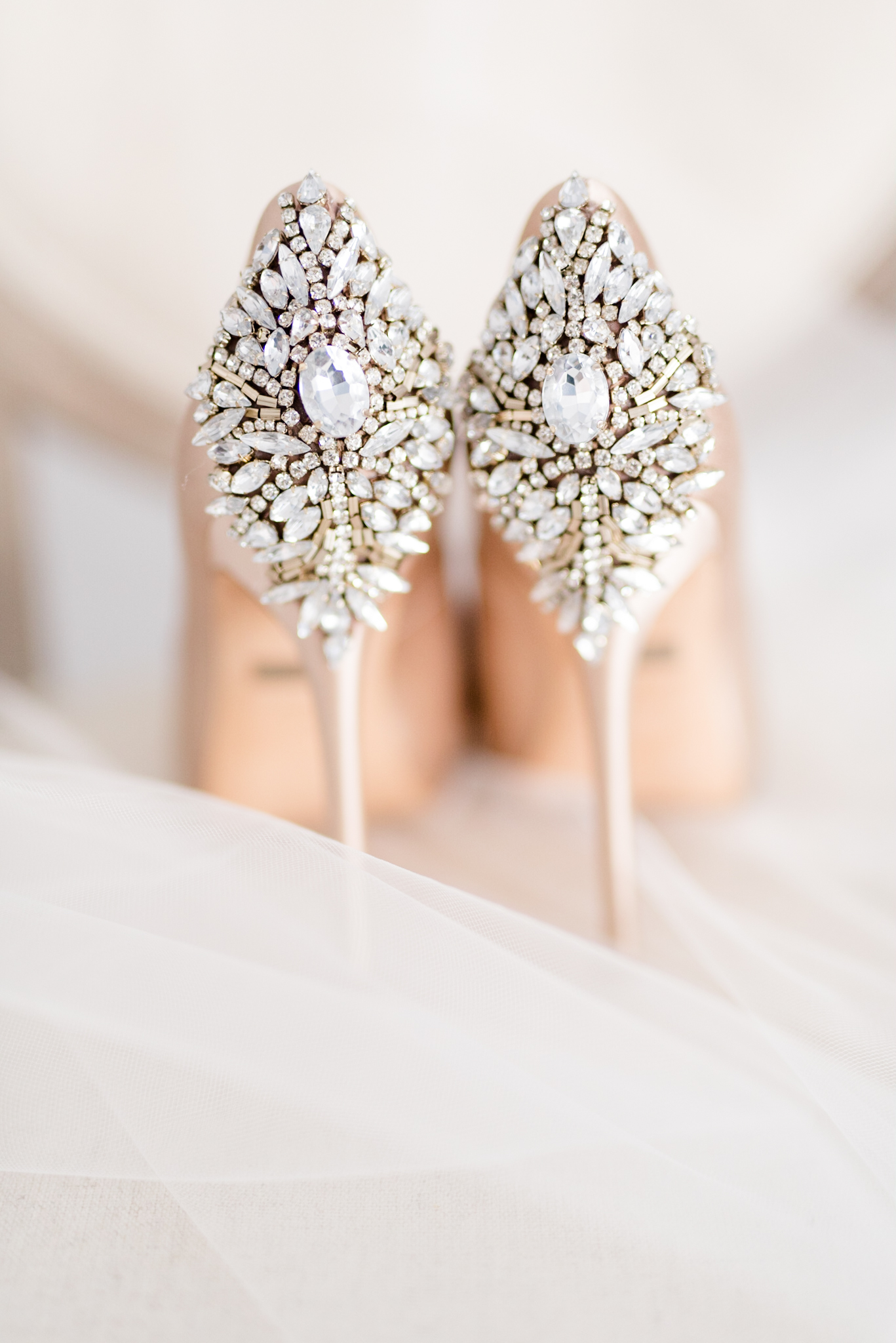 Wedding shoes and veil