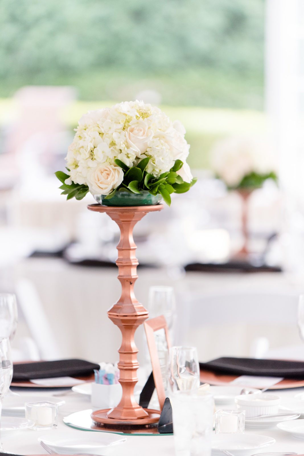 Coxhall Gardens and Ritz Charles Garden Pavilion Wedding