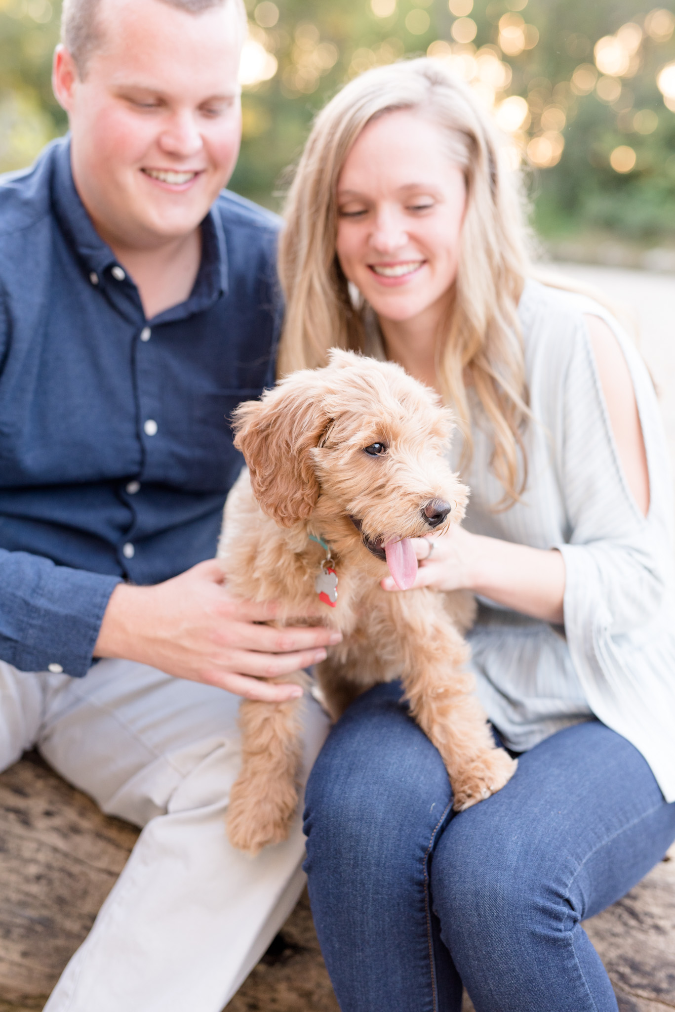 Puppy plays while parents hold her.