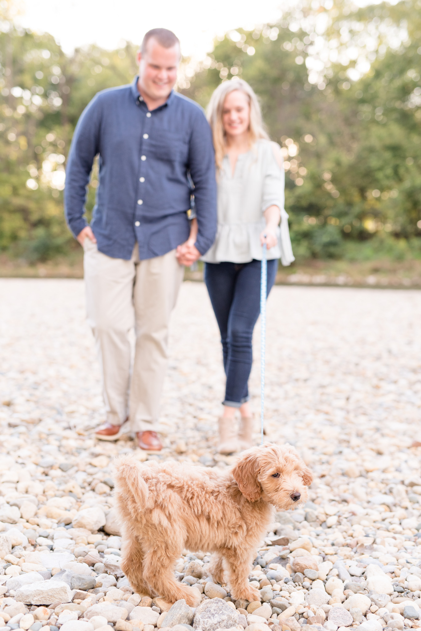 Goldendoodle puppy is walked by couple.