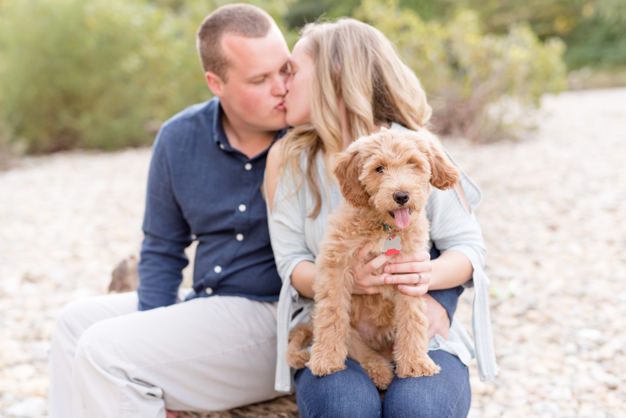 Goldendoodle puppy looks at camera while couple kisses.