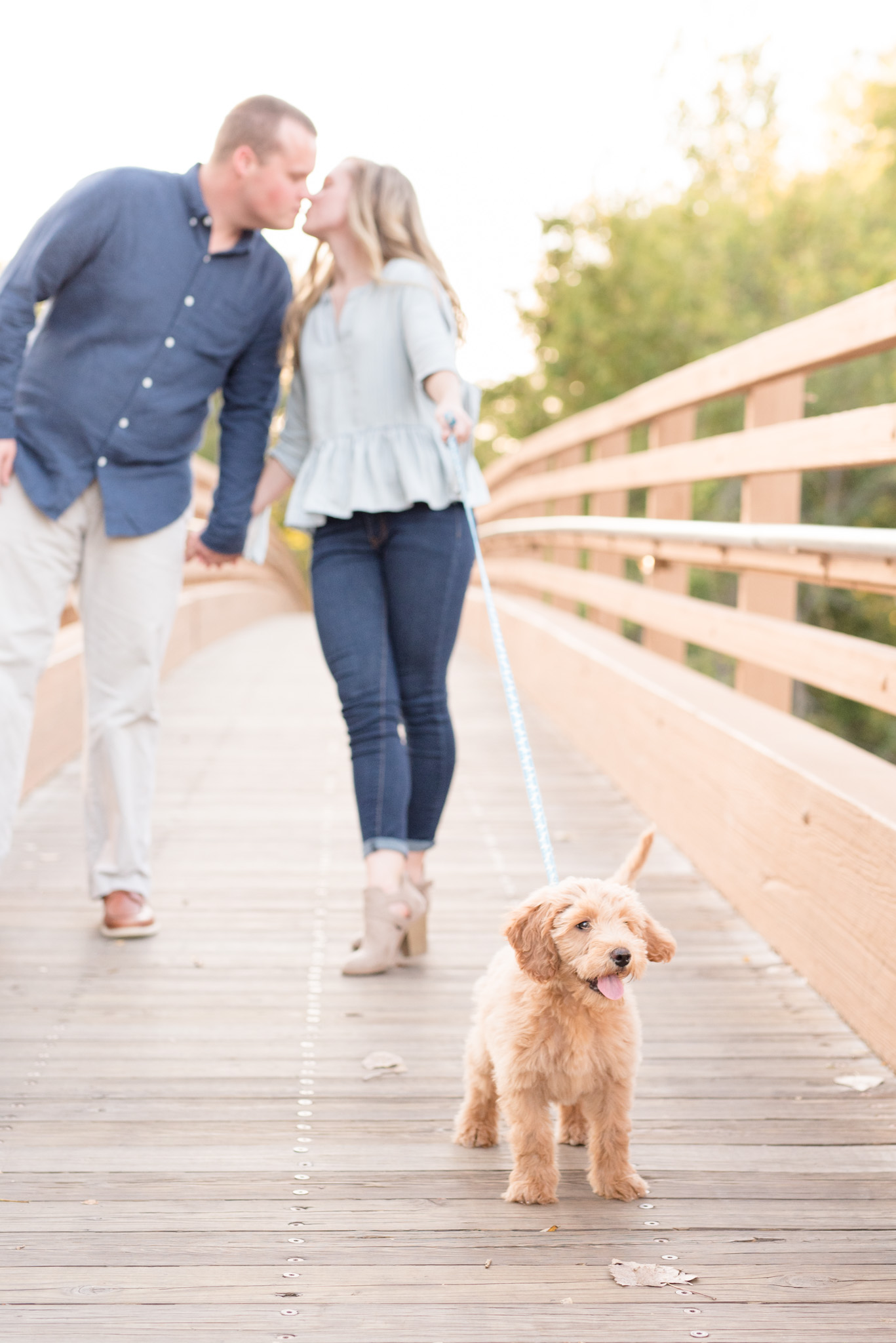 Puppy walks along bridge as couple kisses behind her.