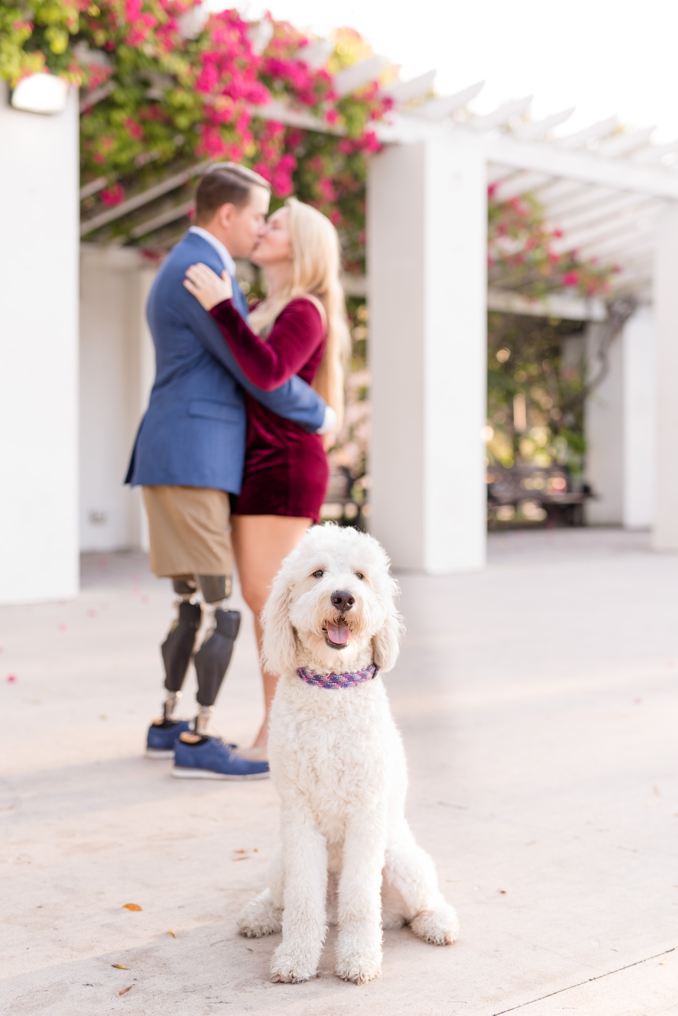 Goldendoodle looks at camera while couple kisses behind her.