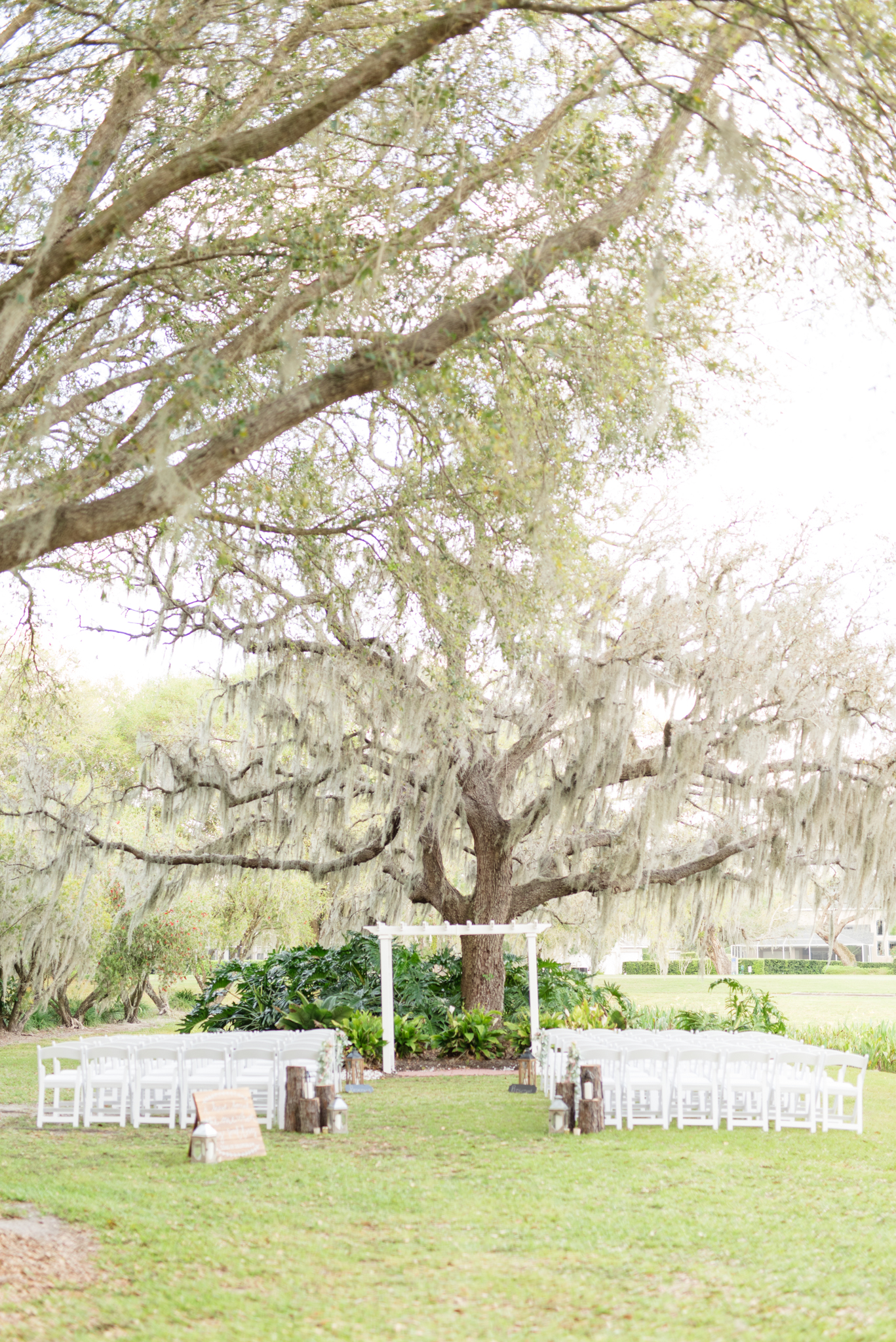 Wedding ceremony space under oak tree.