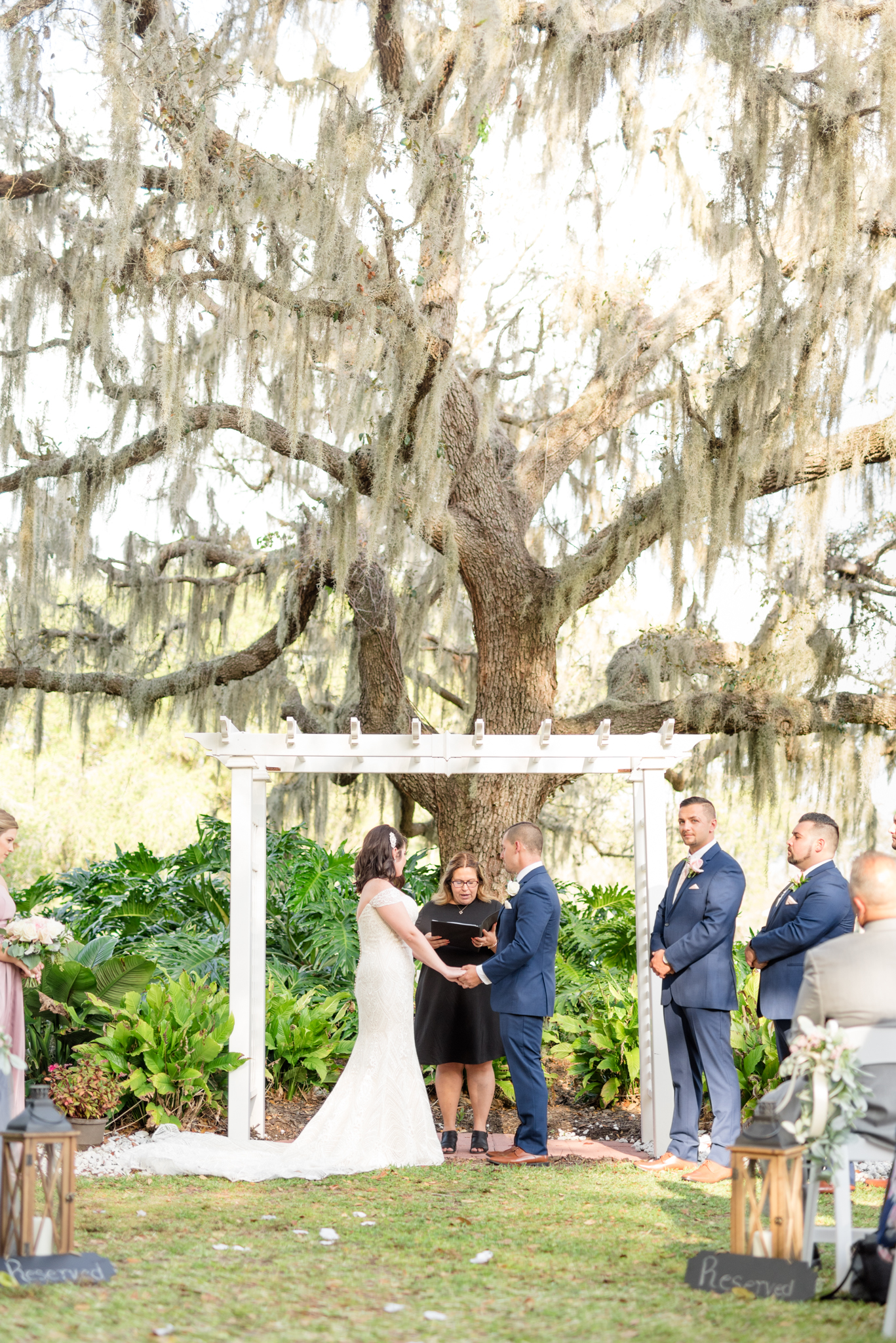 Wedding ceremony under large oak tree.