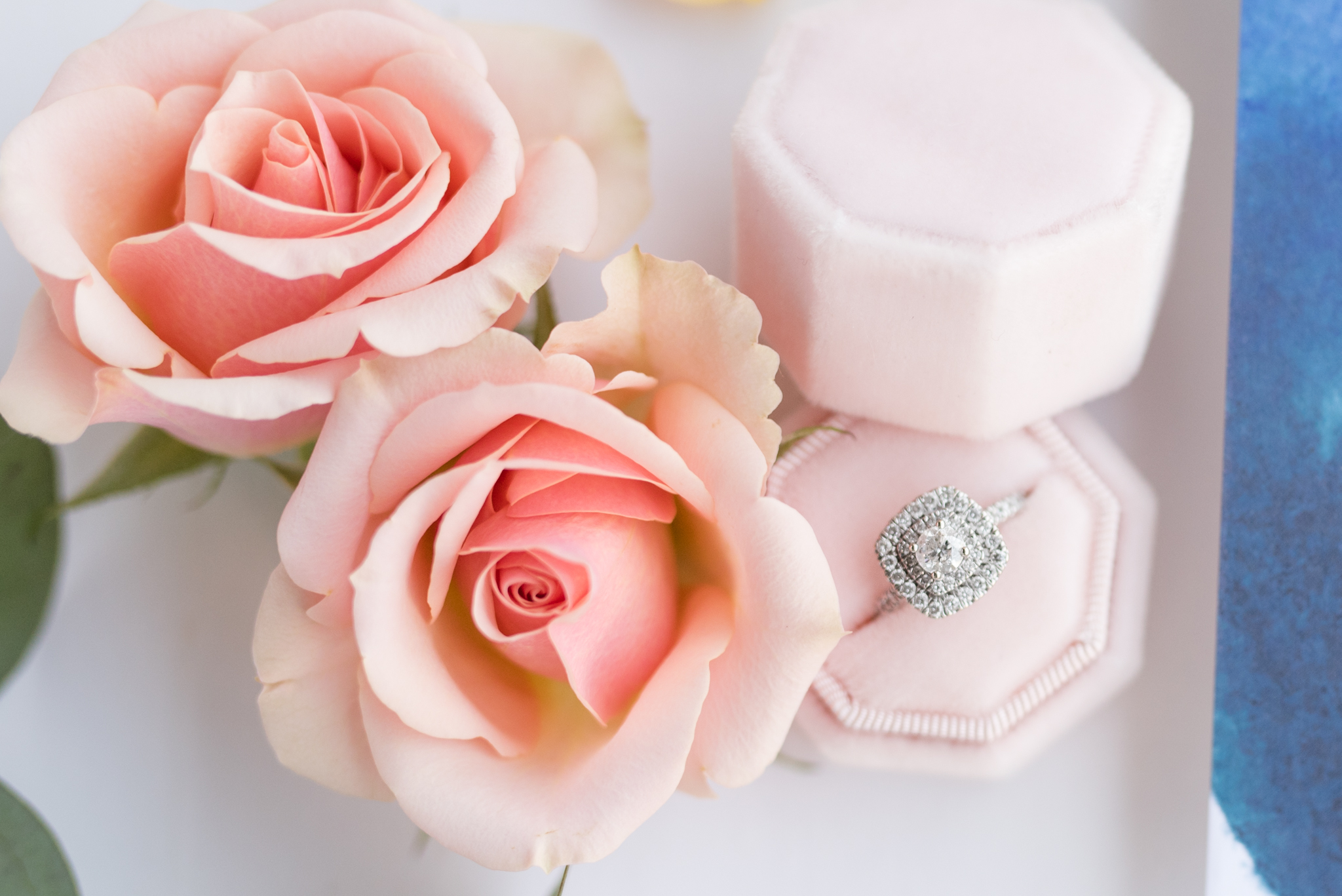 Wedding ring sits with garden roses.