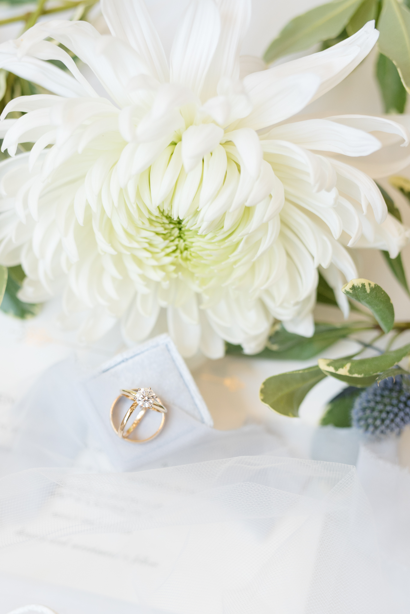 Wedding rings sit next to white flower.