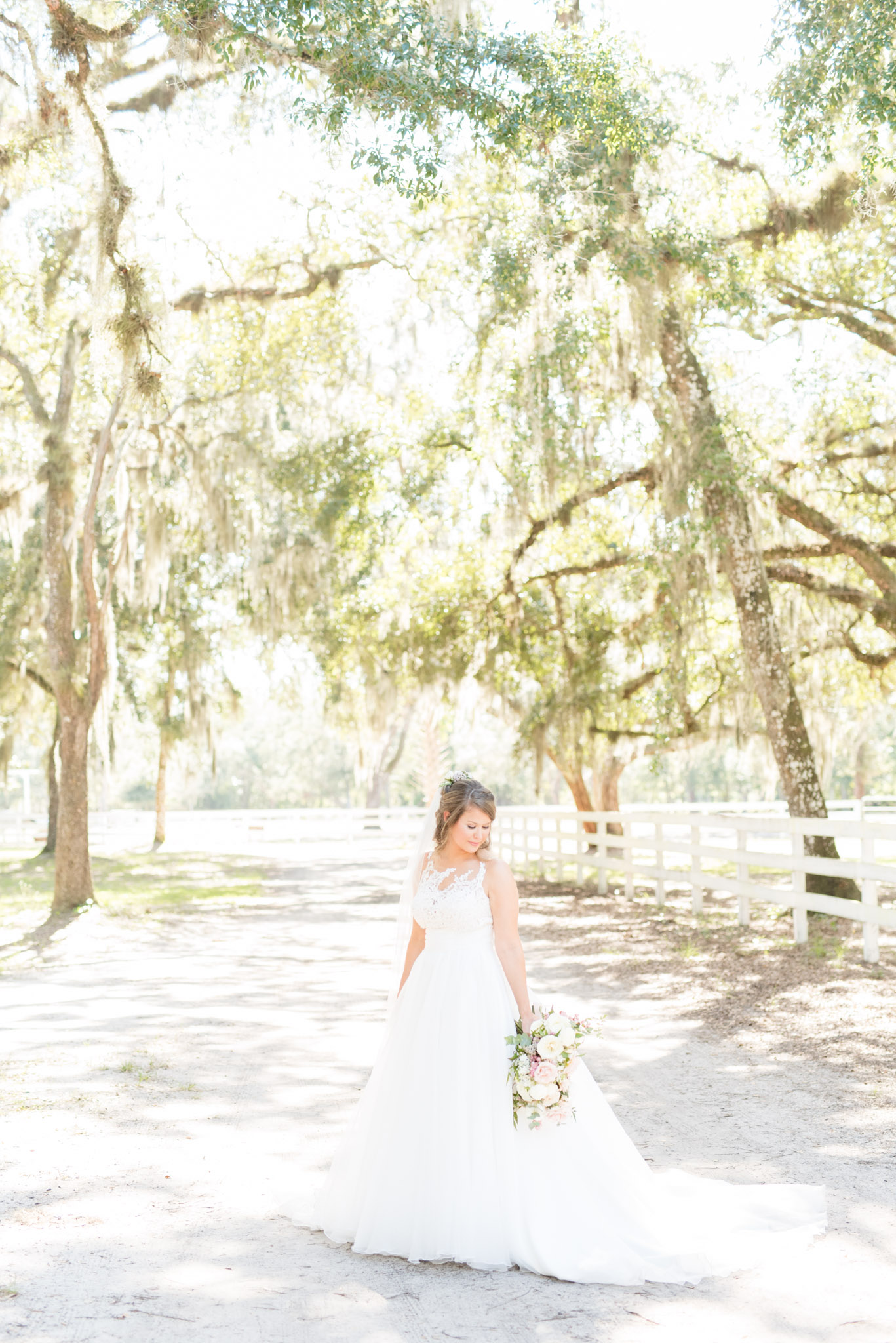 Bride stands on path with oak trees.