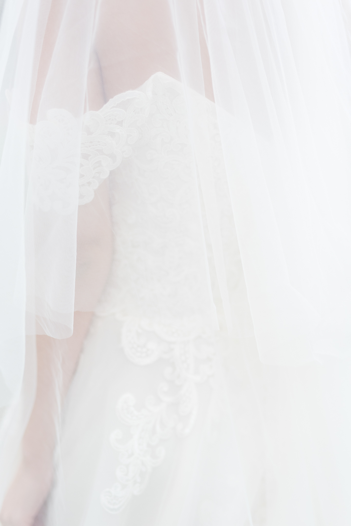 Veil and bridal dress.