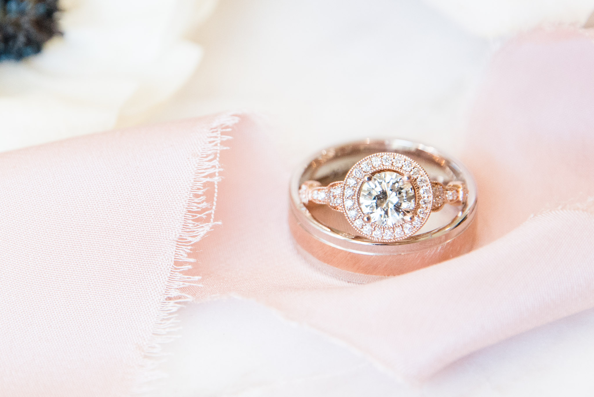 Closeup of wedding rings.