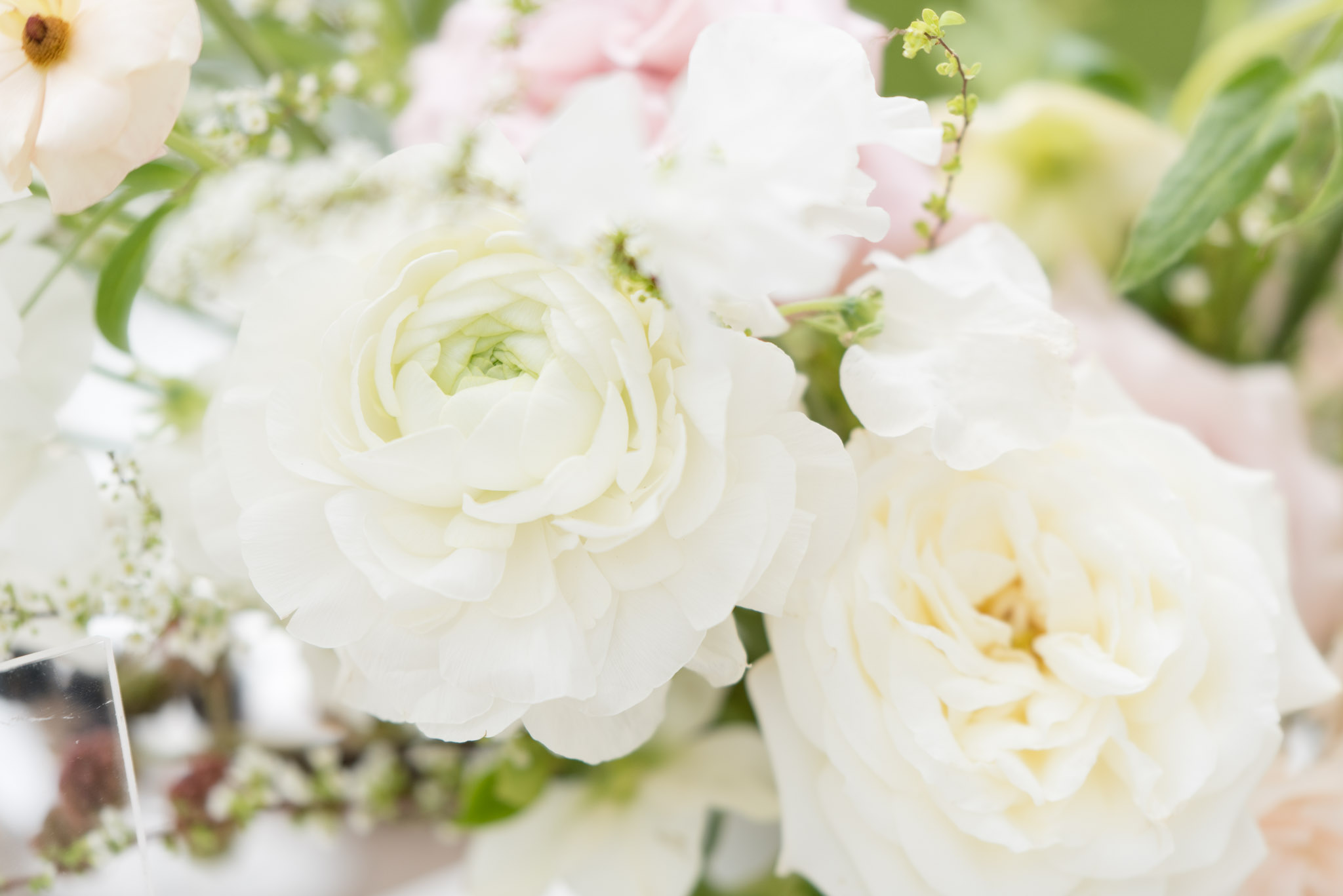 Closeup of white flowers at reception.