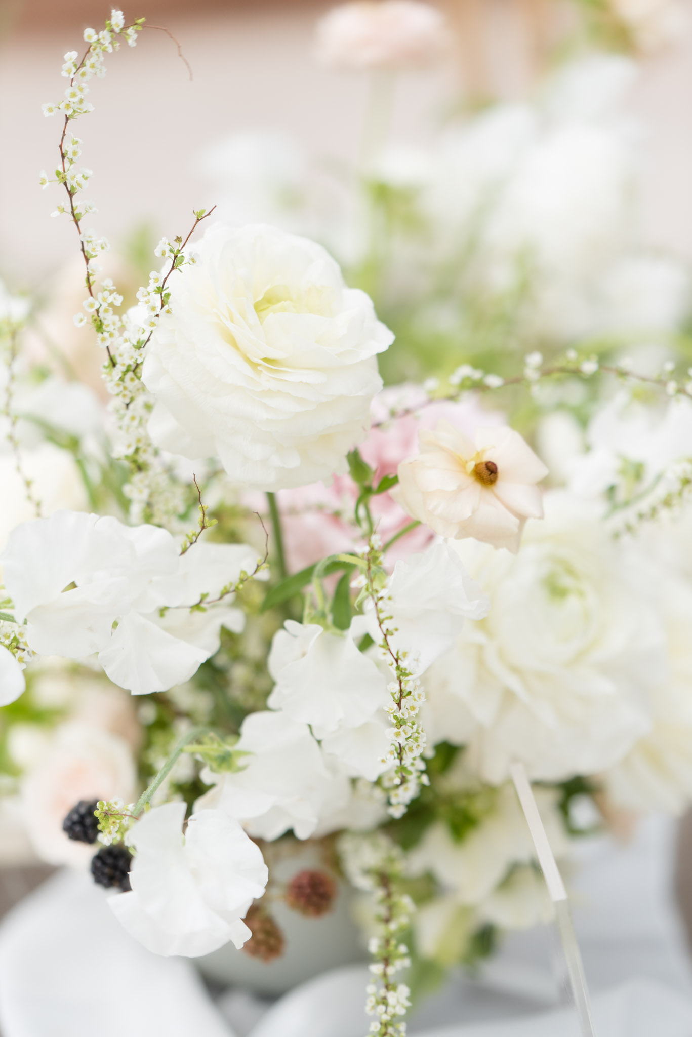 Closeup of white flowers in bouquet.