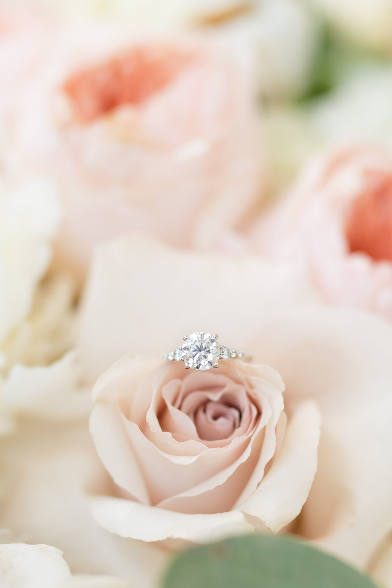 Wedding ring sits on rose