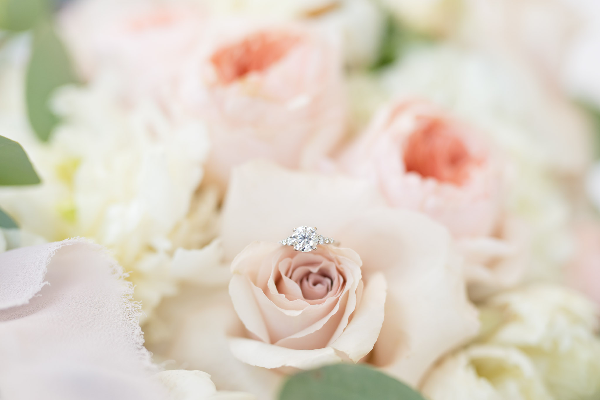 Engagement ring sits on pink flower.
