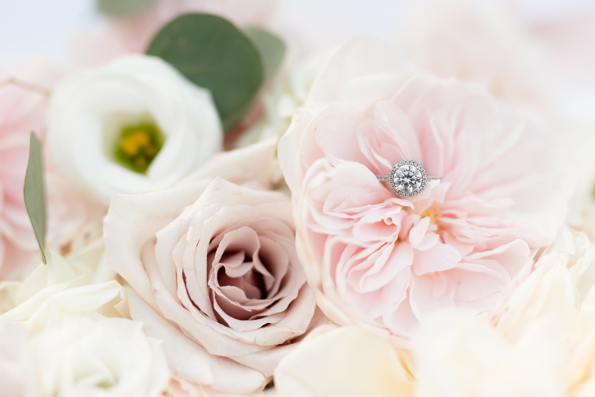 Engagement ring sits with pink flowers.