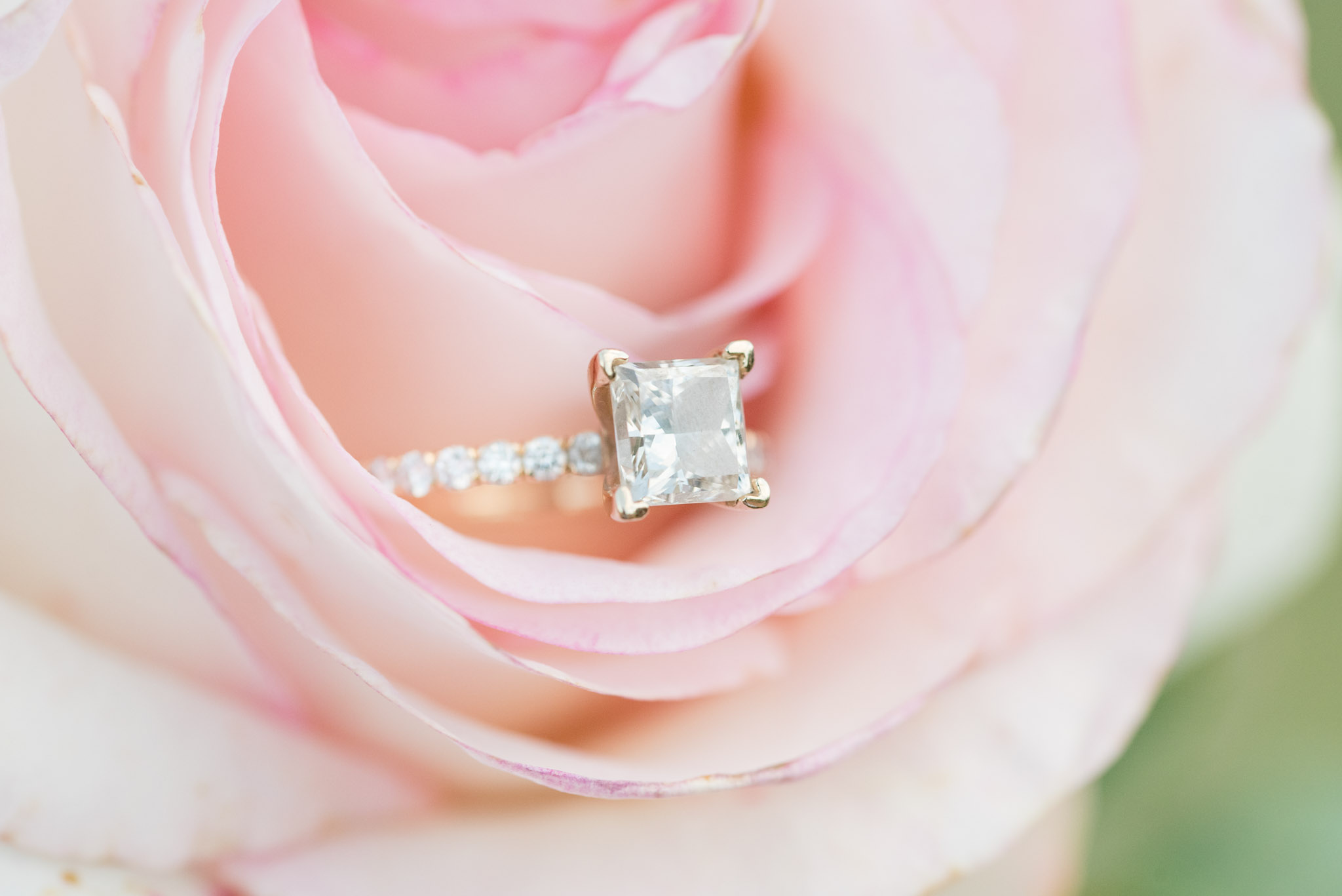 Engagement ring sits in pink flower.