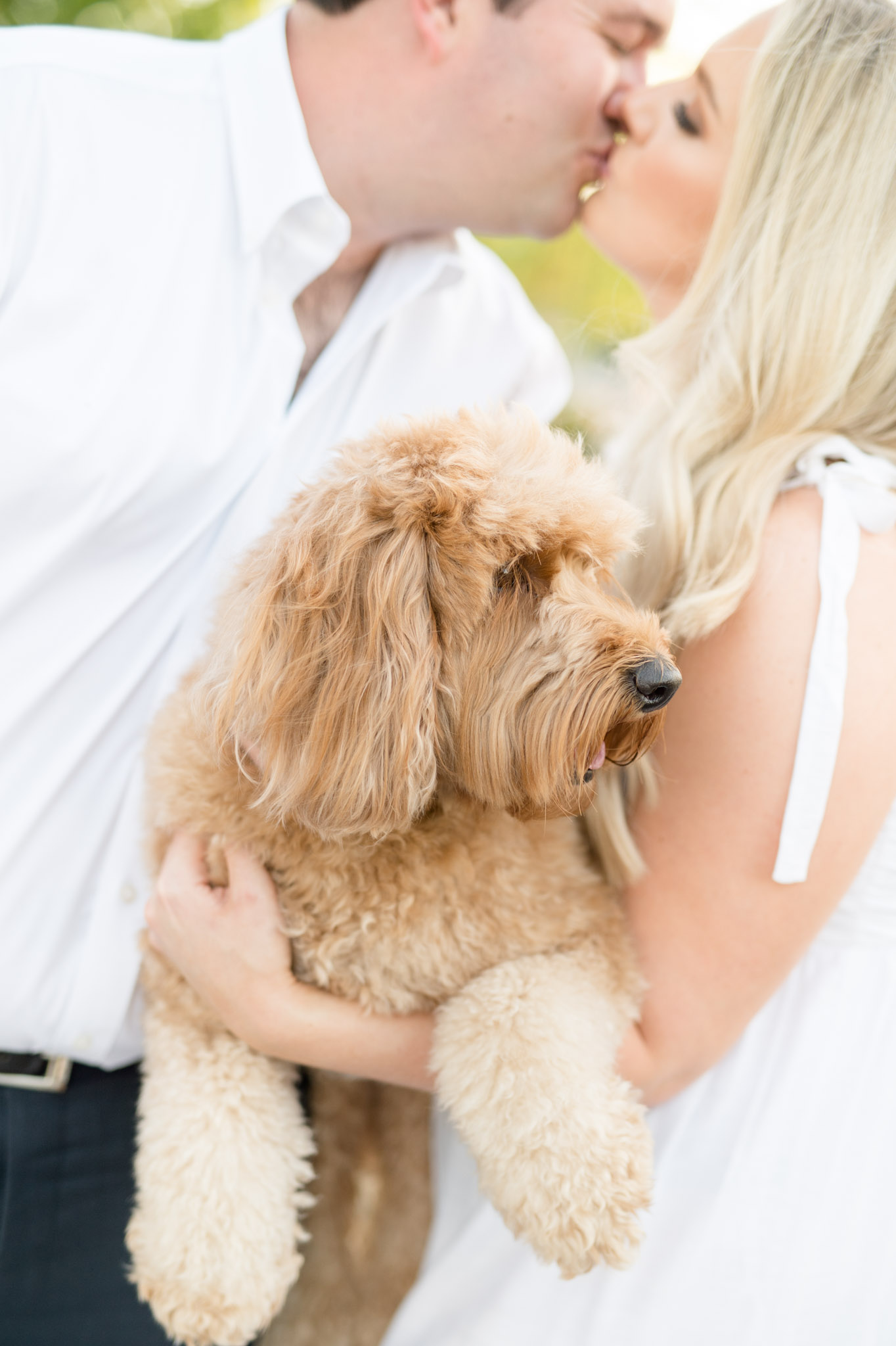 Couple kisses while holding their dog.