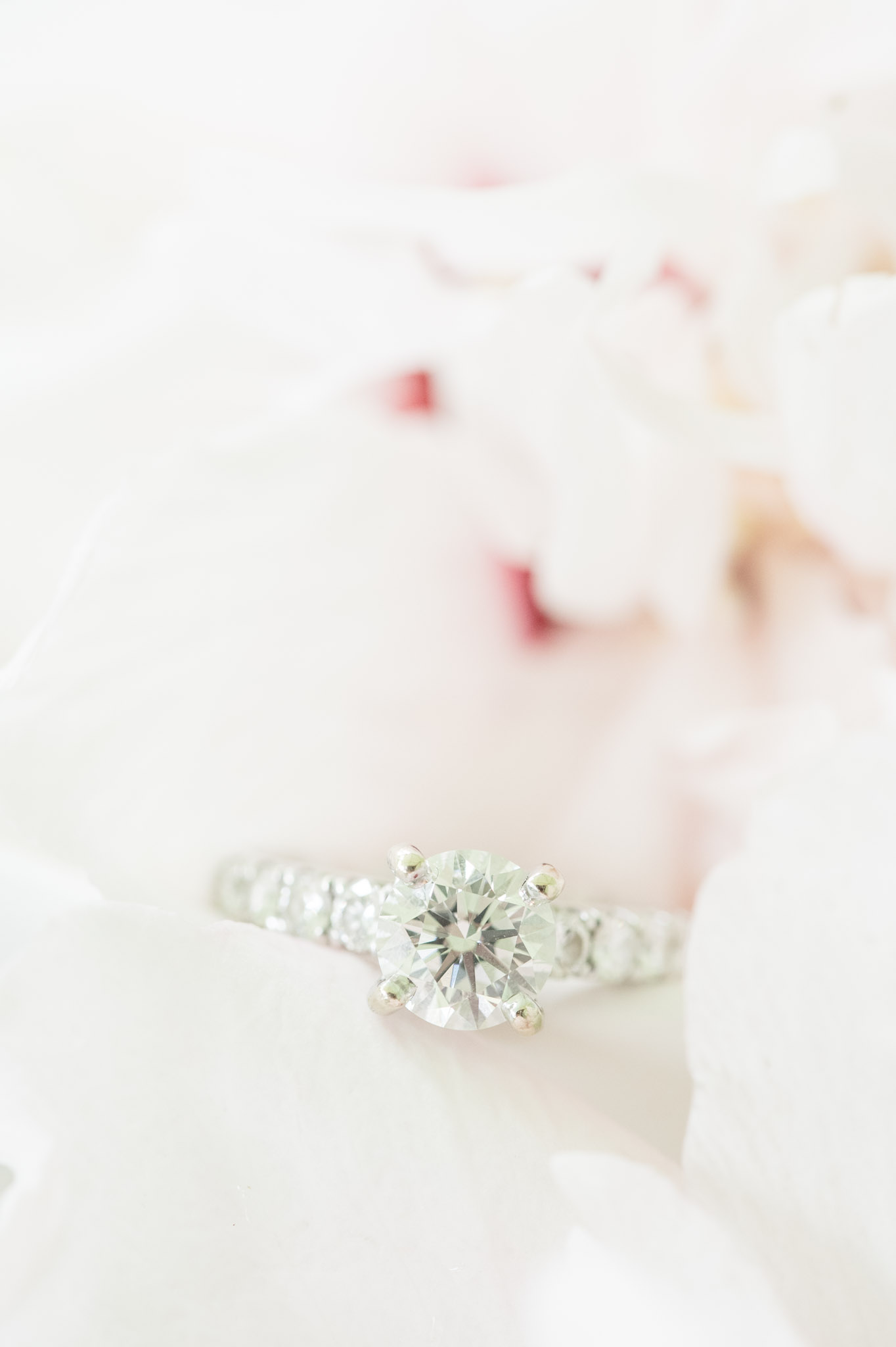 Engagement ring sits on flower petal.