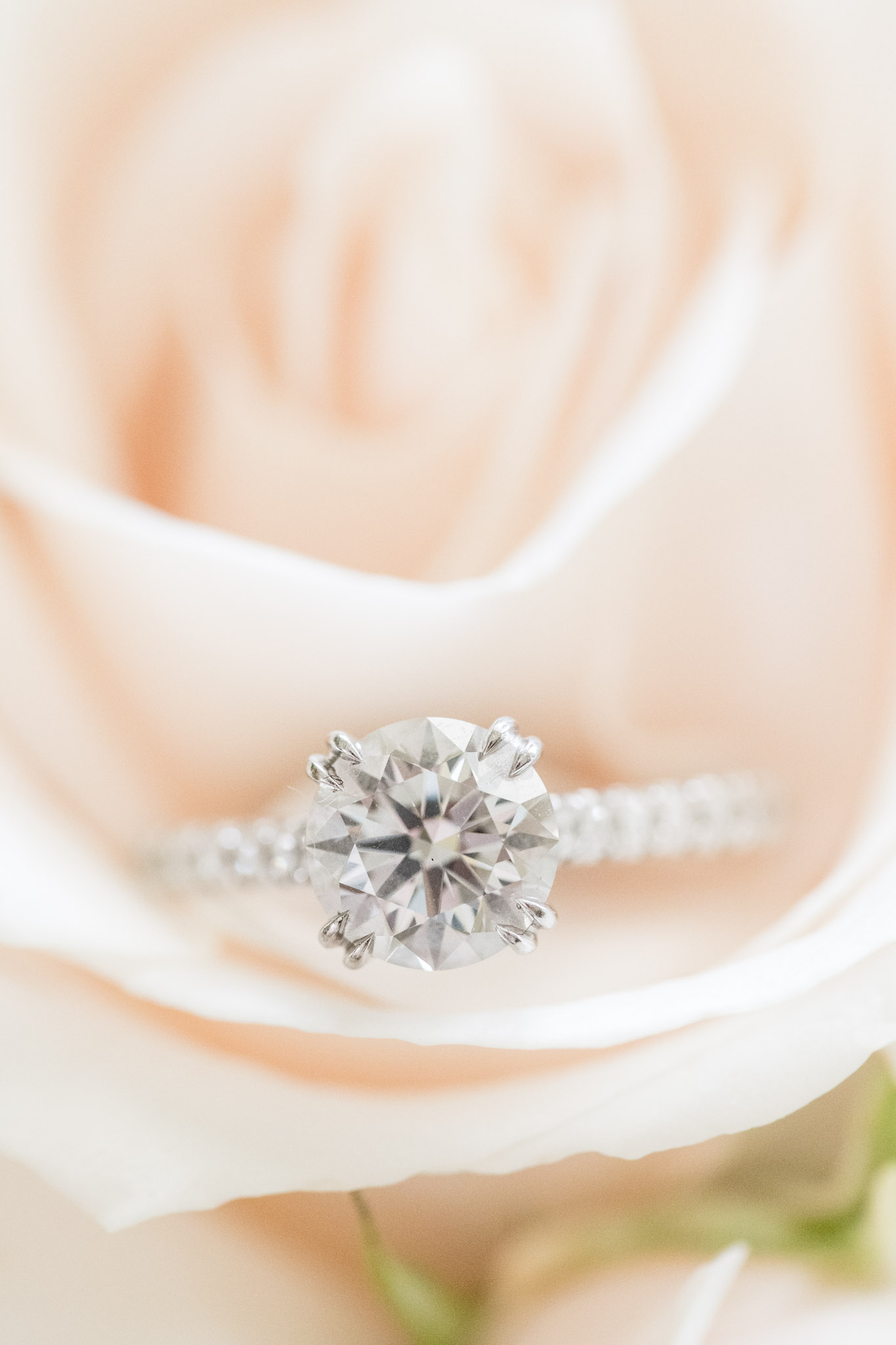 Closeup of wedding ring.
